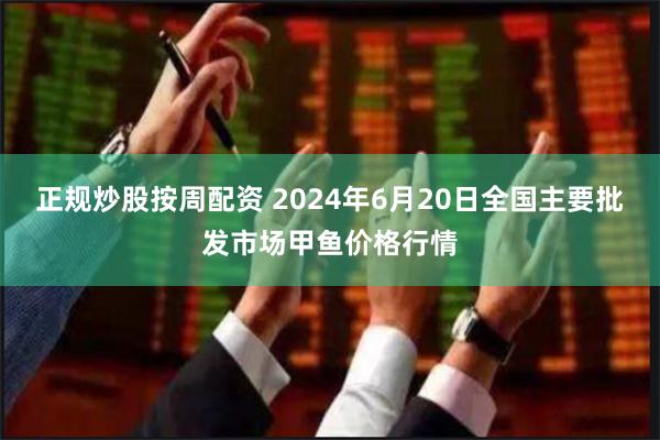 正规炒股按周配资 2024年6月20日全国主要批发市场甲鱼价格行情