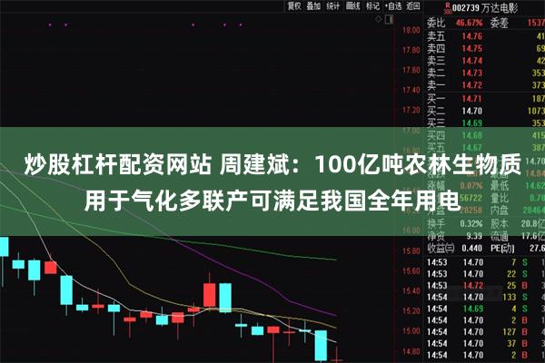 炒股杠杆配资网站 周建斌：100亿吨农林生物质用于气化多联产可满足我国全年用电
