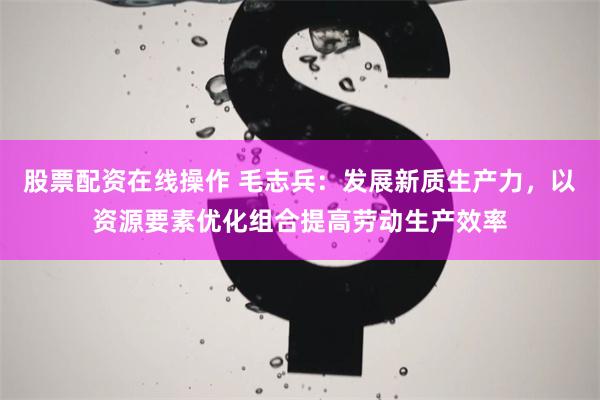 股票配资在线操作 毛志兵：发展新质生产力，以资源要素优化组合提高劳动生产效率