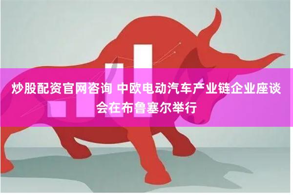 炒股配资官网咨询 中欧电动汽车产业链企业座谈会在布鲁塞尔举行