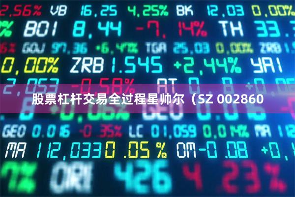 股票杠杆交易全过程星帅尔（SZ 002860
