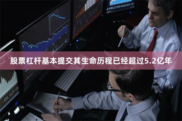 股票杠杆基本提交其生命历程已经超过5.2亿年