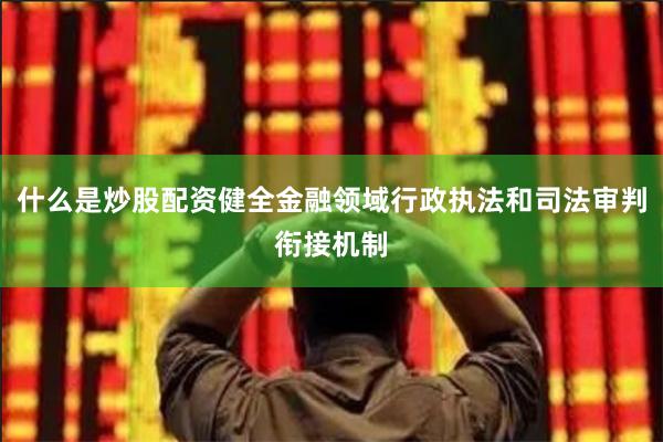 什么是炒股配资健全金融领域行政执法和司法审判衔接机制