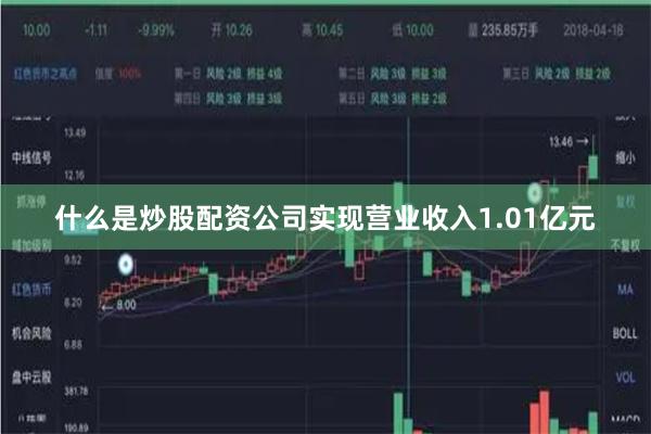 什么是炒股配资公司实现营业收入1.01亿元